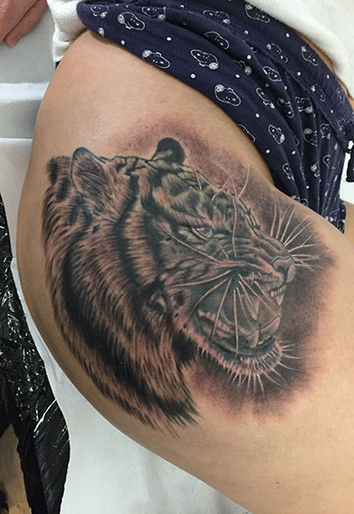 Tiger Tattoo frisch gestochen